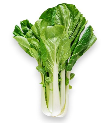 Albahaca